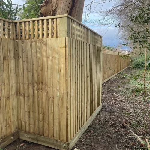 trellis fencing bristol